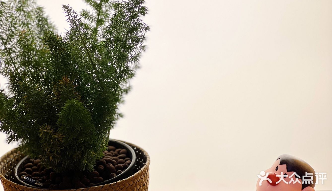 龙湖天街新开了家秋田主题的面包店，可可爱爱