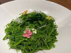 -王府茶楼茶宴·创意菜(朝阳公园店)