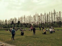 -前小桔亲子创意农场·草莓采摘·露营烧烤