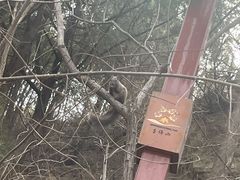 -佛慧山