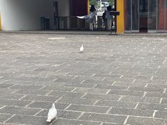 -宝通禅寺