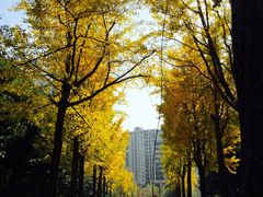 -苏州河梦清园环保主题公园