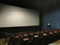 -嘉华国际影城(学清路店)