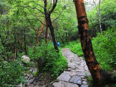 -驼梁风景区