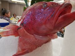 -高老庄新家宴(北斗星广场店)