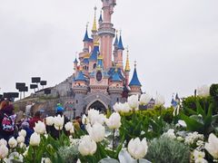 -巴黎迪士尼乐园