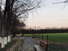 -汉长安城未央宫国家考古遗址公园