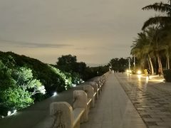 -深圳湾公园(南山区)