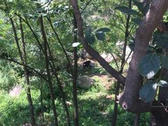 -碓臼峪自然风景区