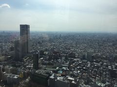 -东京都厅舍
