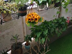 -简·无界健身工作室·运动康复·体态(石厦店)