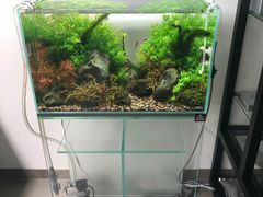 -ADA自然水景世界