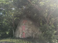 -野狸岛