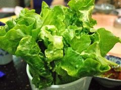 唐生菜-成都老码头火锅(旺角店)