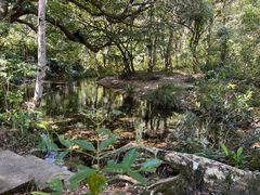 -海南热带雨林国家公园吊罗山景区