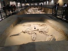 -洛阳周王城天子驾六博物馆