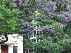-四川大学(望江校区)