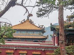 -普陀宗乘之庙