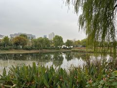 -金银湖国家城市湿地公园