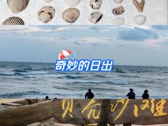 -贝壳沙滩