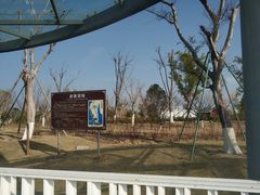 -漩门湾国家湿地公园