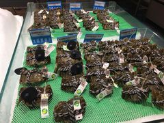 -麦德龙(虹口江湾店)