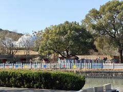 -上海月湖雕塑公园