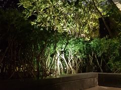 -明谷行馆·温泉