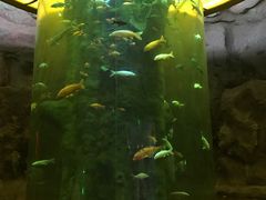 景点-泗洪洪泽湖湿地景区
