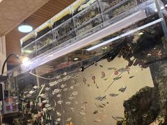 -金鼎雪山牦牛杂火锅(理县总店)