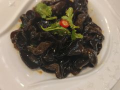 -福禄财东北菜(珠江帝景店)