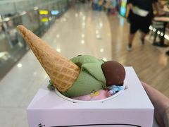 -西树泡芙(秦皇岛茂业天地店)