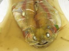 -老许家正宗驴肉黄面胡羊焖饼·烧烤(名吃广场店)