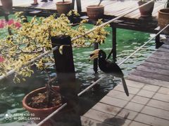 -卡帕莱度假村(西巴丹岛)