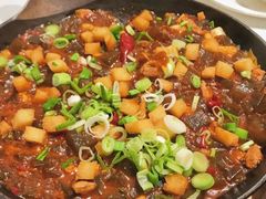 肉末炒凉粉-阿五黄河大鲤鱼(海尚店)