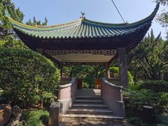 -叶家花园