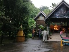 -莫里热带雨林景区