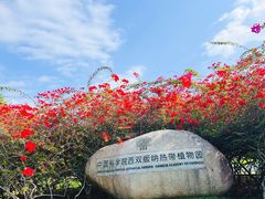 -中国科学院西双版纳热带植物园