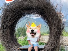 -竹语饭香·原生态农庄·烧鸡·竹筒饭·河鲜(森林海白水寨店)