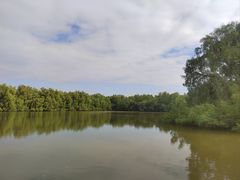 -大湾区中央湿地公园