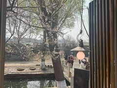 -春风习习