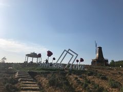 -大塘金香草谷