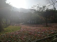 -青青世界