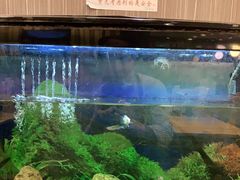 水产区-李先生牛肉面大王(华联商厦店)