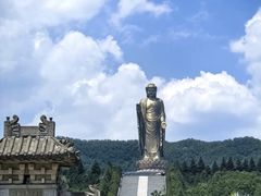 -中原大佛景区