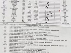 -爱贝特动物医院·猫口炎专科