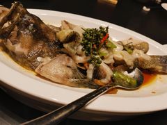 青花椒蒸龙胆鱼-闽和南(深圳万象城店)