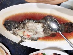 -海景壹号大酒店(滨湖店)