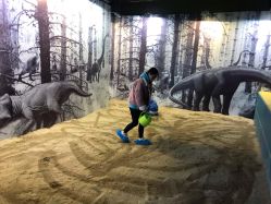 -恐龙探索乐园(磁器口店)