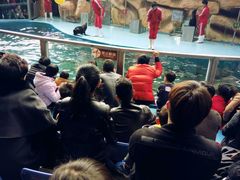 -泉州海丝野生动物世界